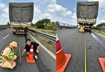Xe Hỏng Trên Cao Tốc: Đặt Biển Cảnh Báo Sai Quy Định "Bay" Ngay 13 Triệu Và 6 Điểm Bằng Lái